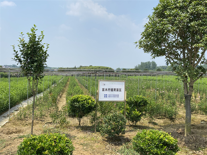 1-22042QJ550K8.jpg