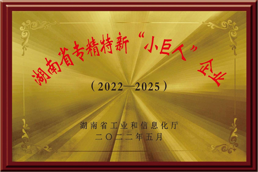 1-25030P949355F.png