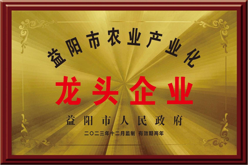 1-25030P95204M6.png