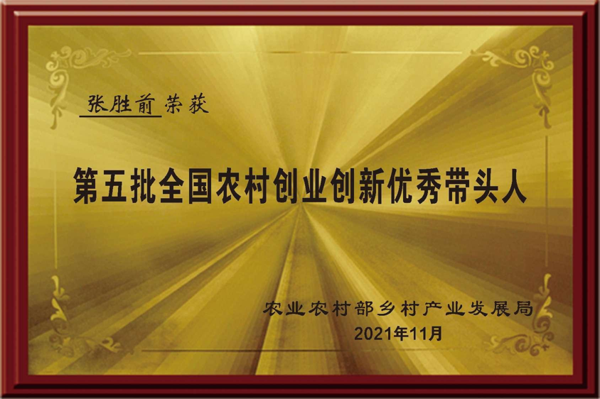 1-25030P954244Q.png