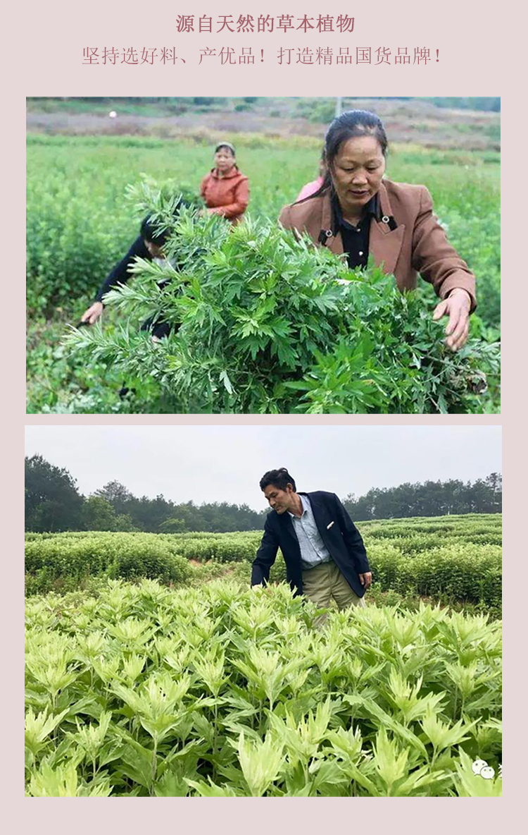 槿植颜艾叶香水级清爽沐浴露(图6)