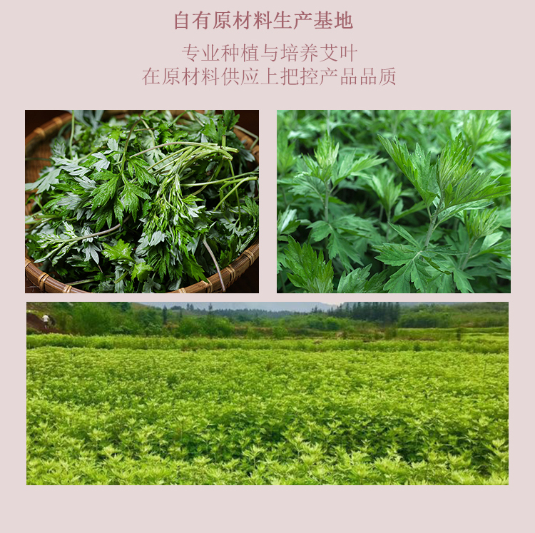 槿植颜艾叶香水级清爽沐浴露(图5)