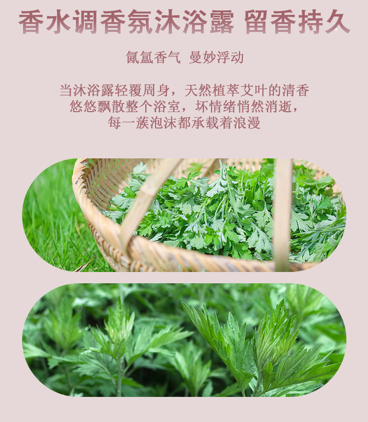 槿植颜艾叶香水级清爽沐浴露(图13)