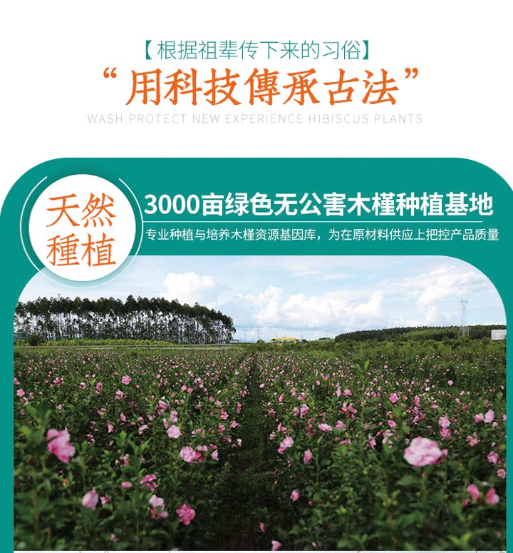 懒家柳木槿洗发水(图7)