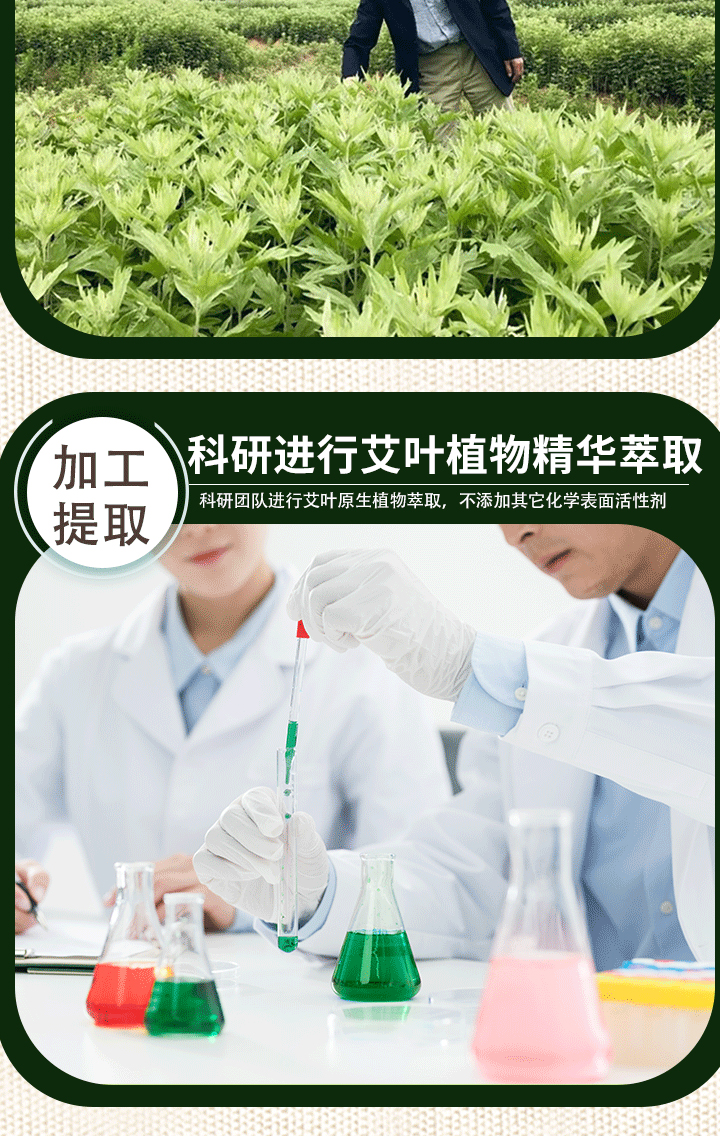 懒家柳草本精华艾叶沐浴露(图11)