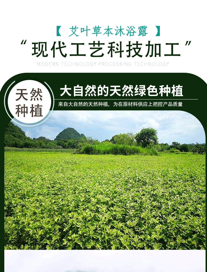 懒家柳草本精华艾叶沐浴露(图9)